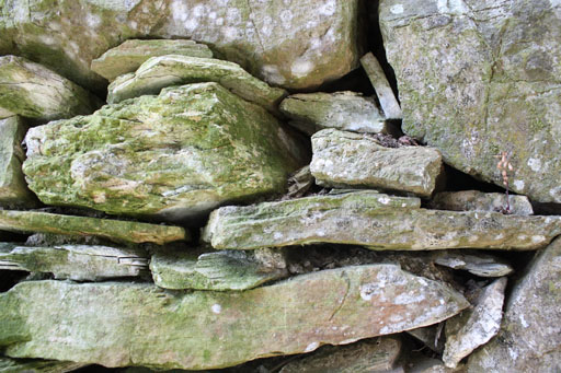 dry stone wall cinque terre national park