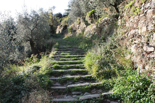 trail to volastra