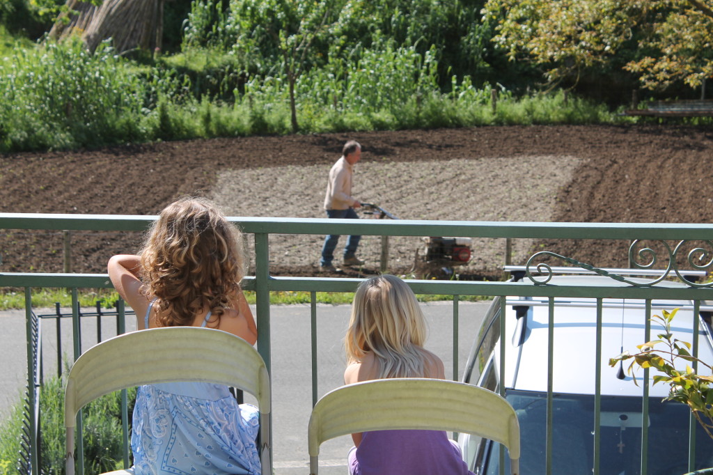 rural entertainment in levanto